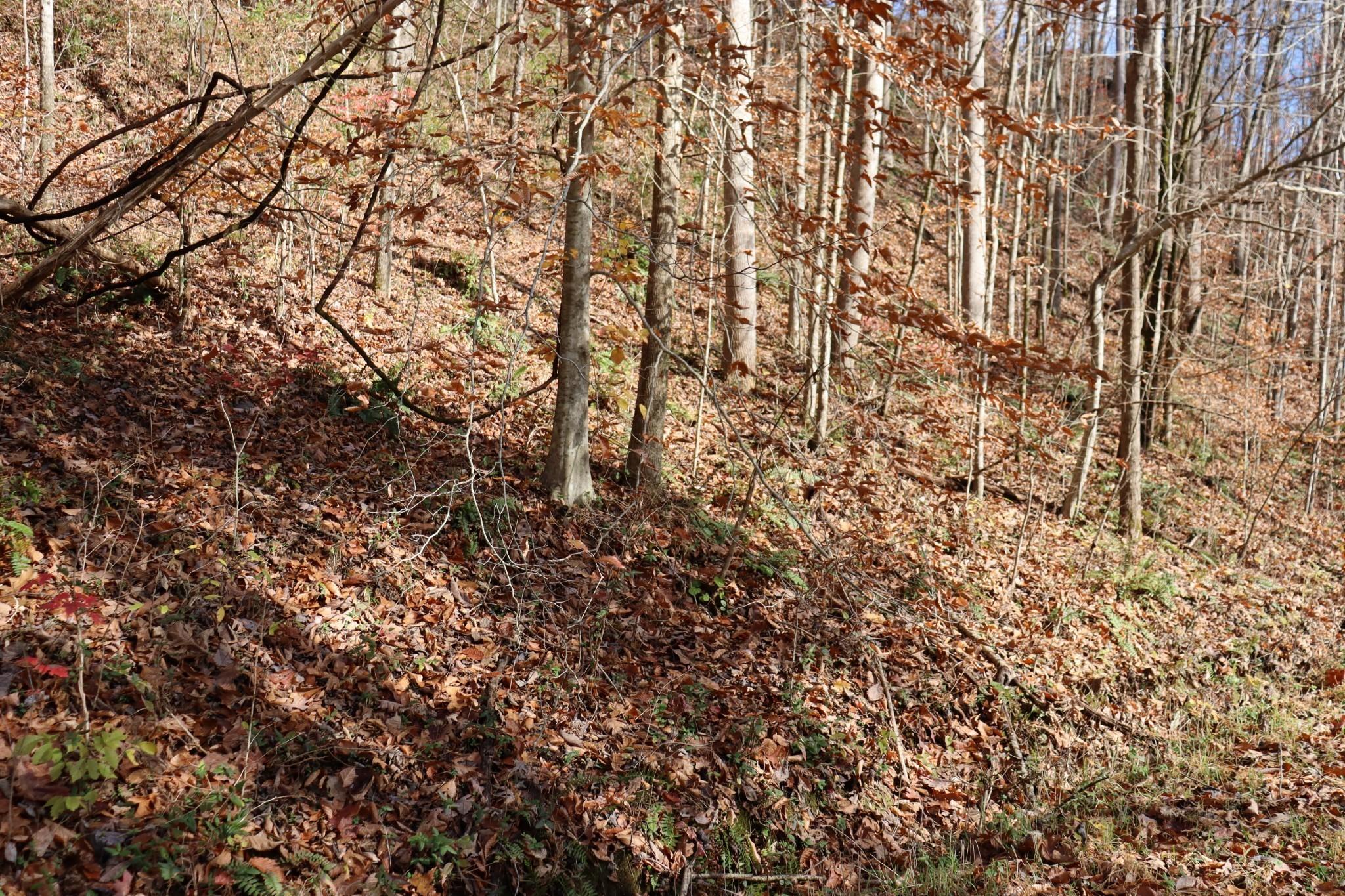 Image 2 Image 2
