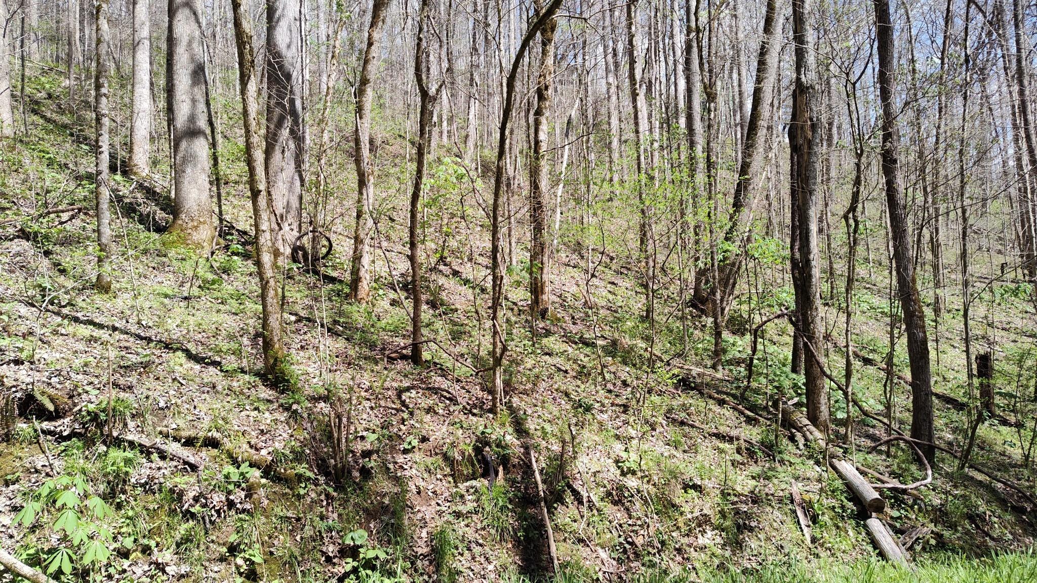 Image 3 Image 3