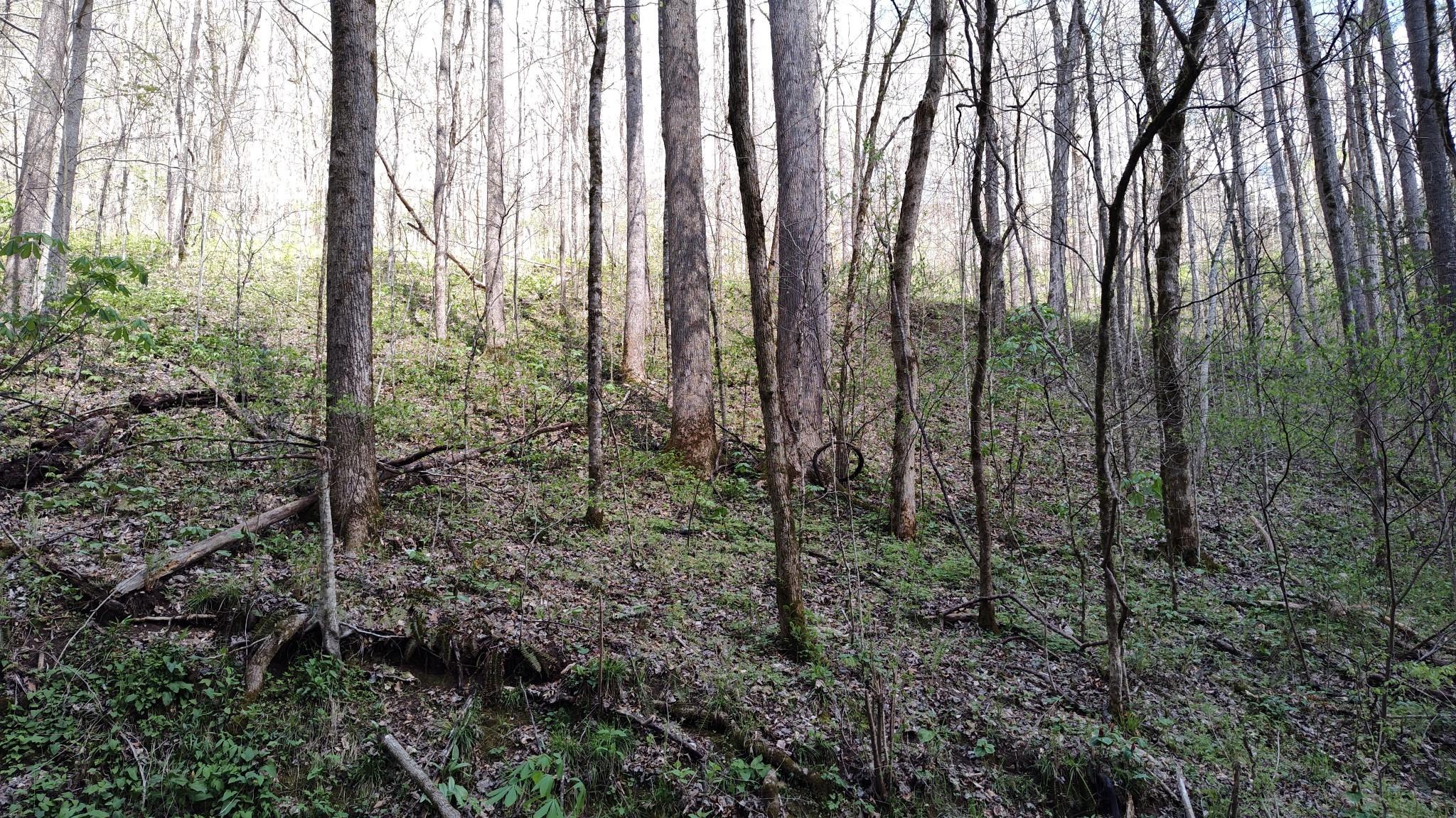 Image 4 Image 4