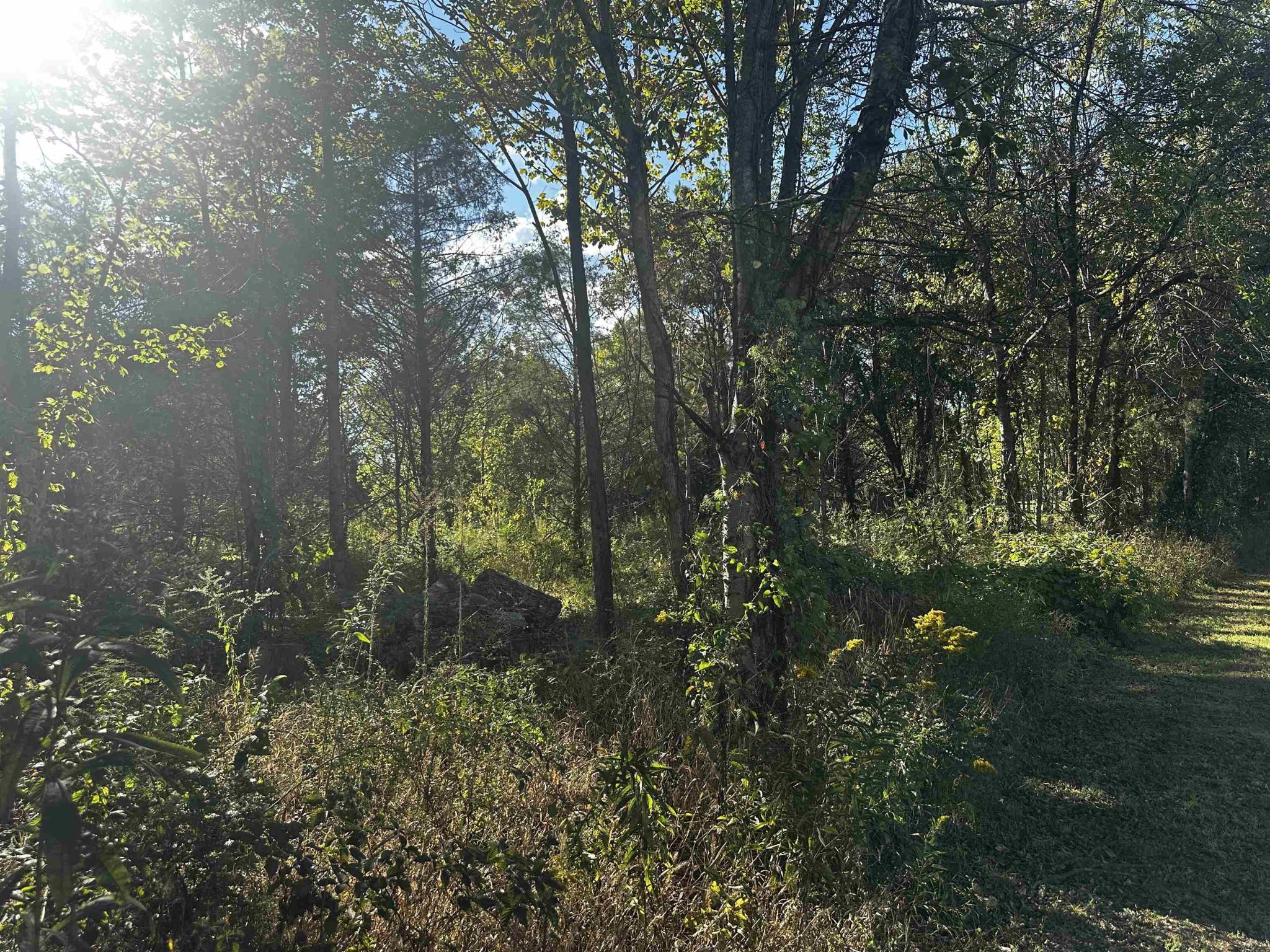 Image 4 Image 4