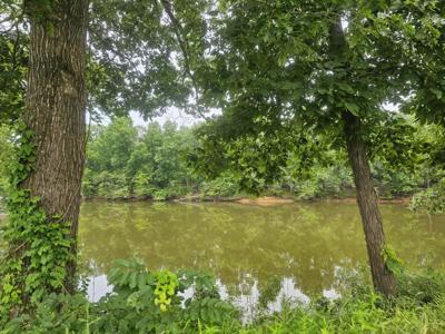 380 Duck Blind Rd