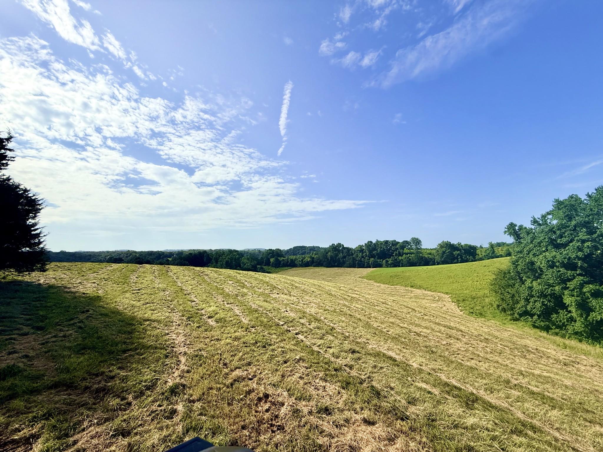 Image 3 Image 3