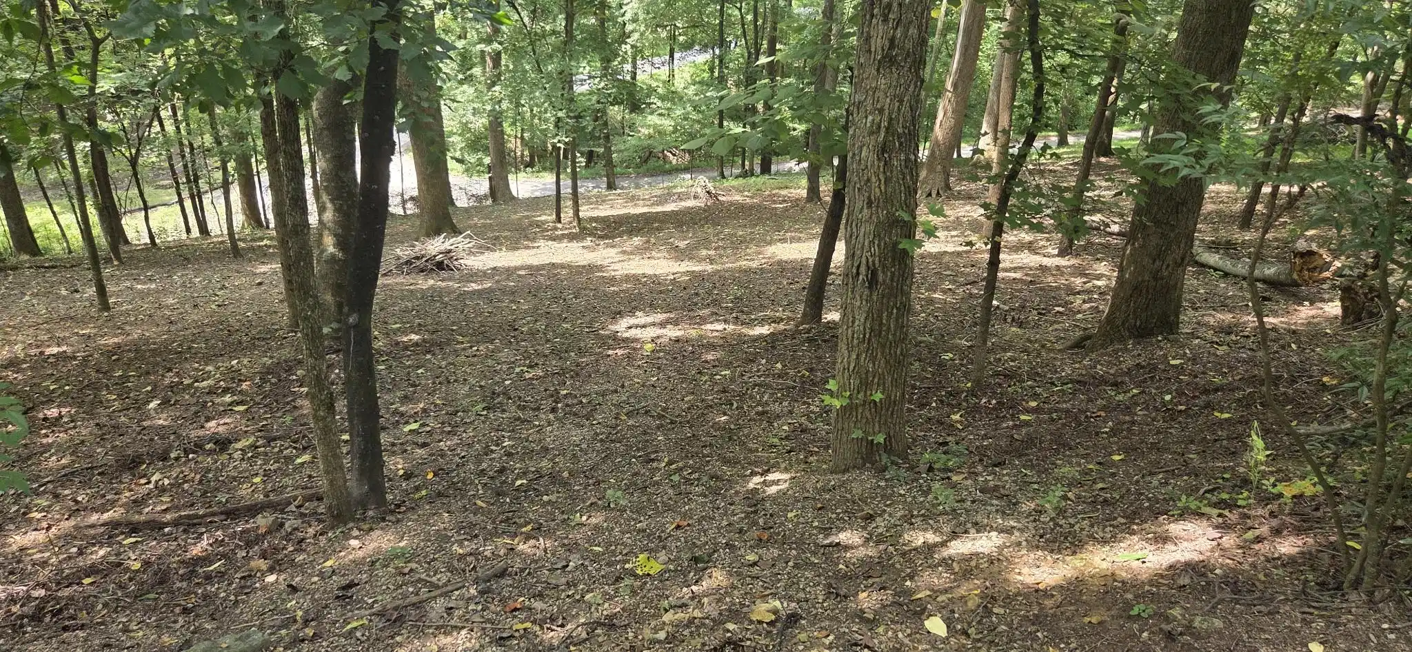Image 1 Image 1
