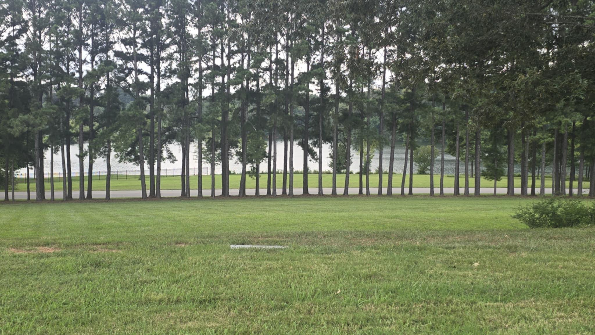 Image 4 Image 4