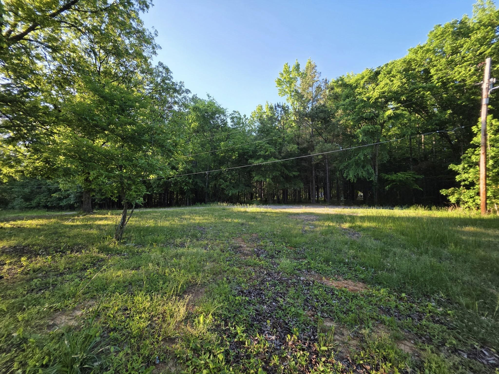 Image 1 Image 1