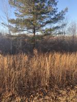 11 Preston Baggett Rd