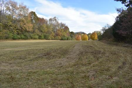 0 Defeated Creek Hwy