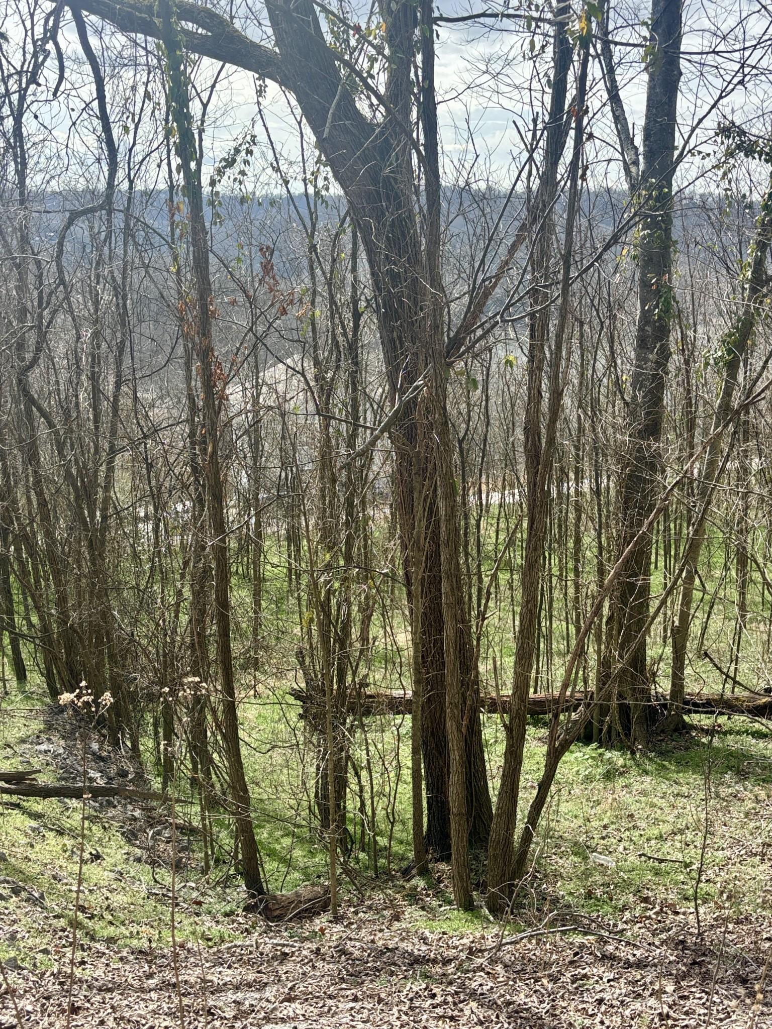 Image 2 Image 2