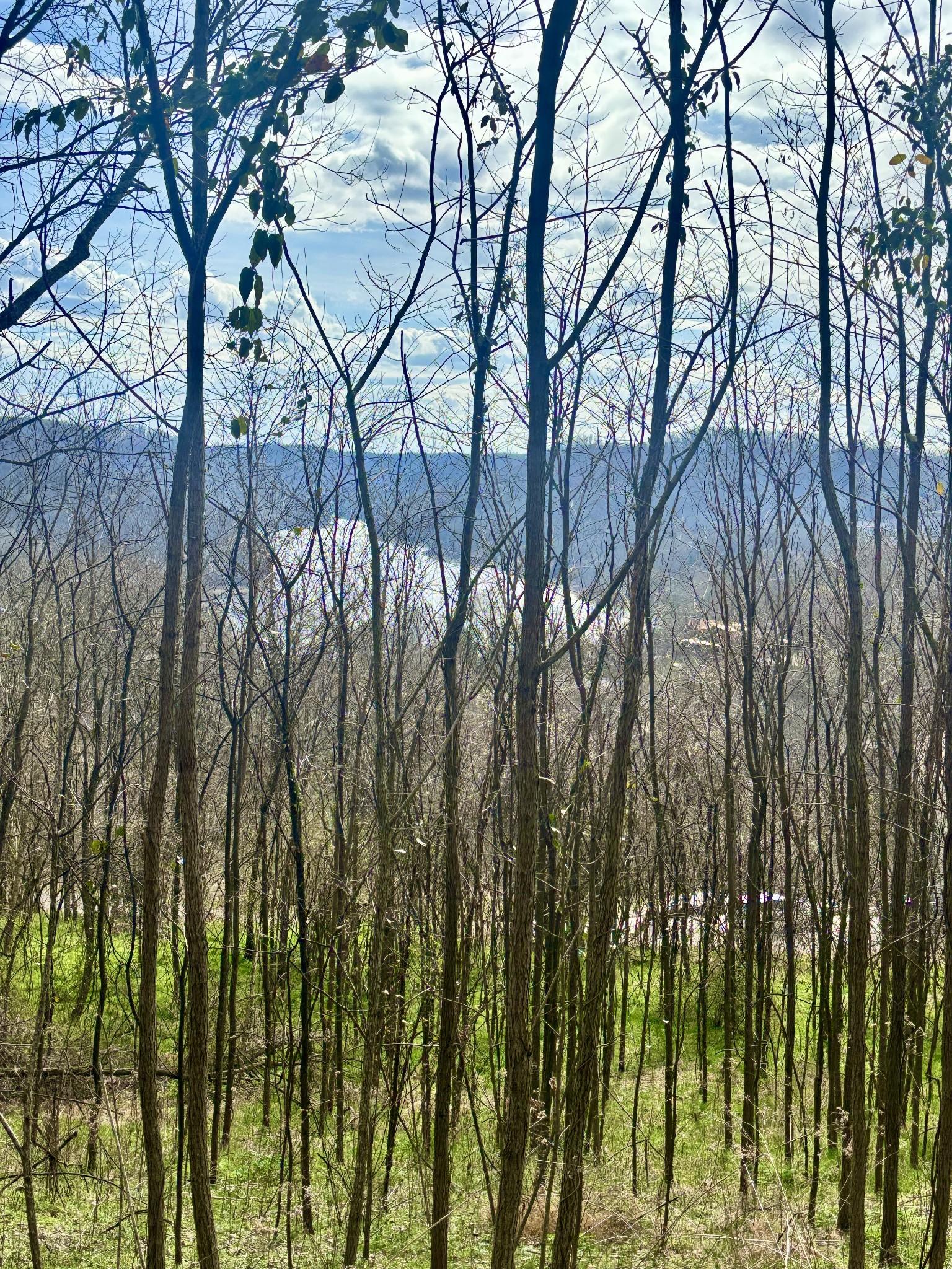 Image 3 Image 3