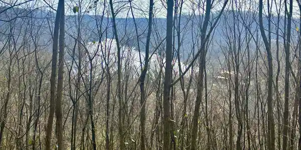 Image 3 Image 3