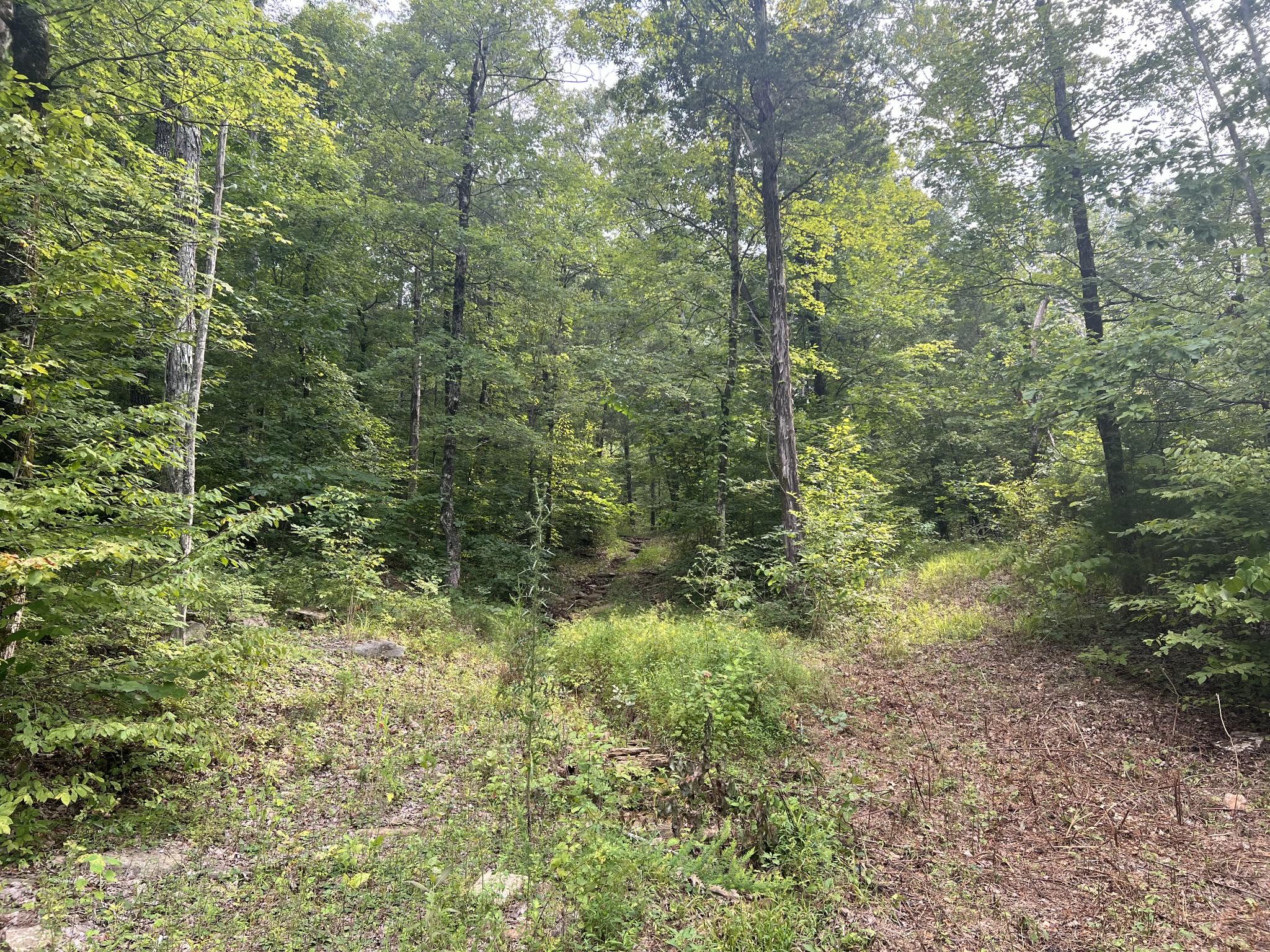 Image 4 Image 4