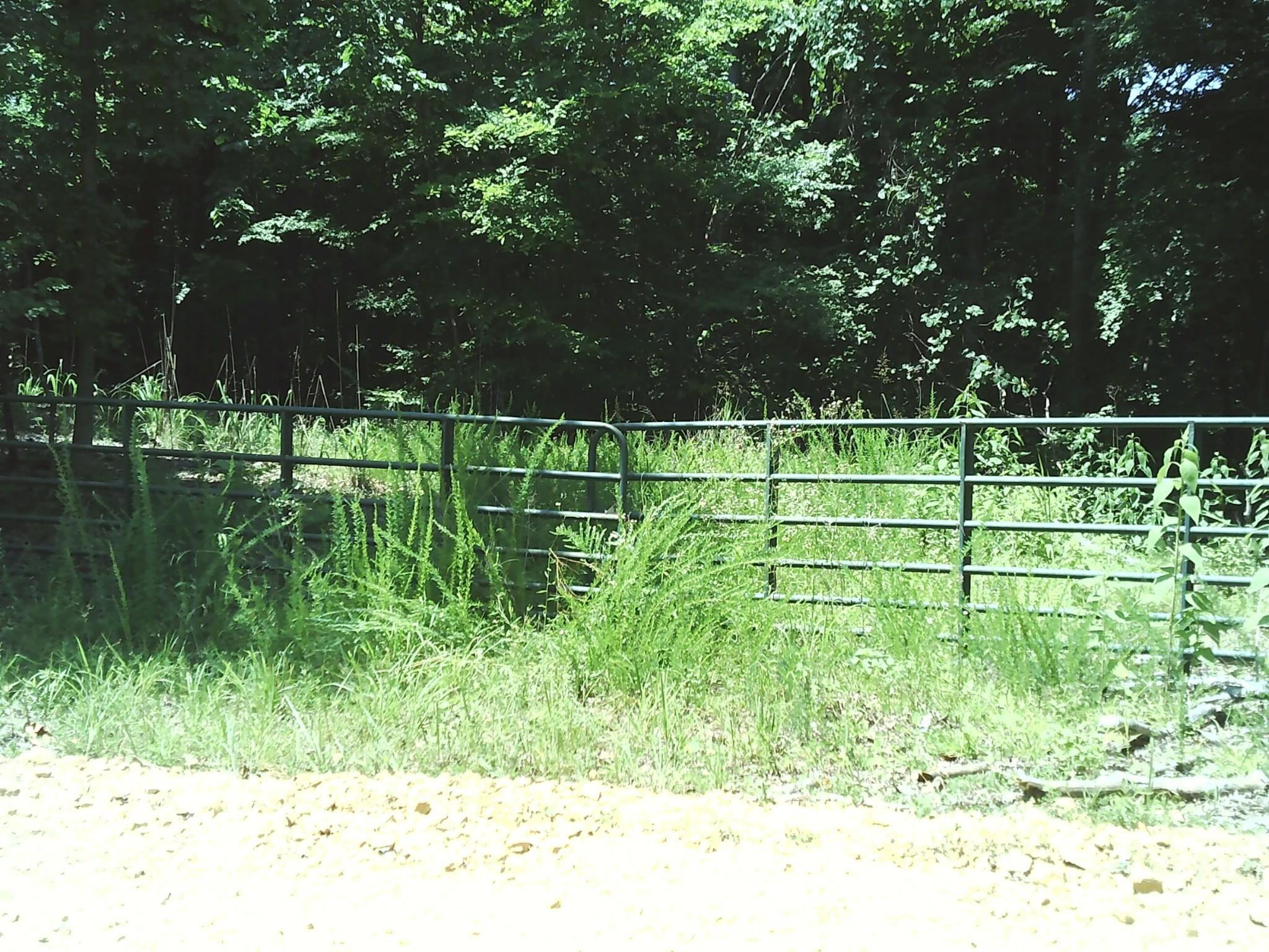 Image 1 Image 1