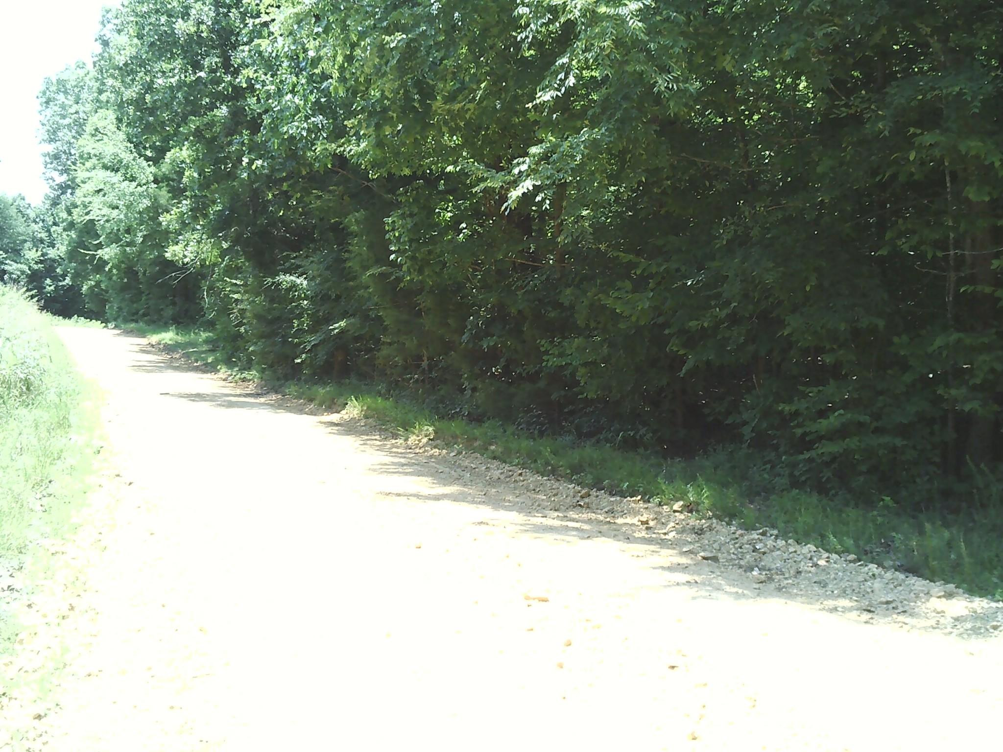Image 2 Image 2