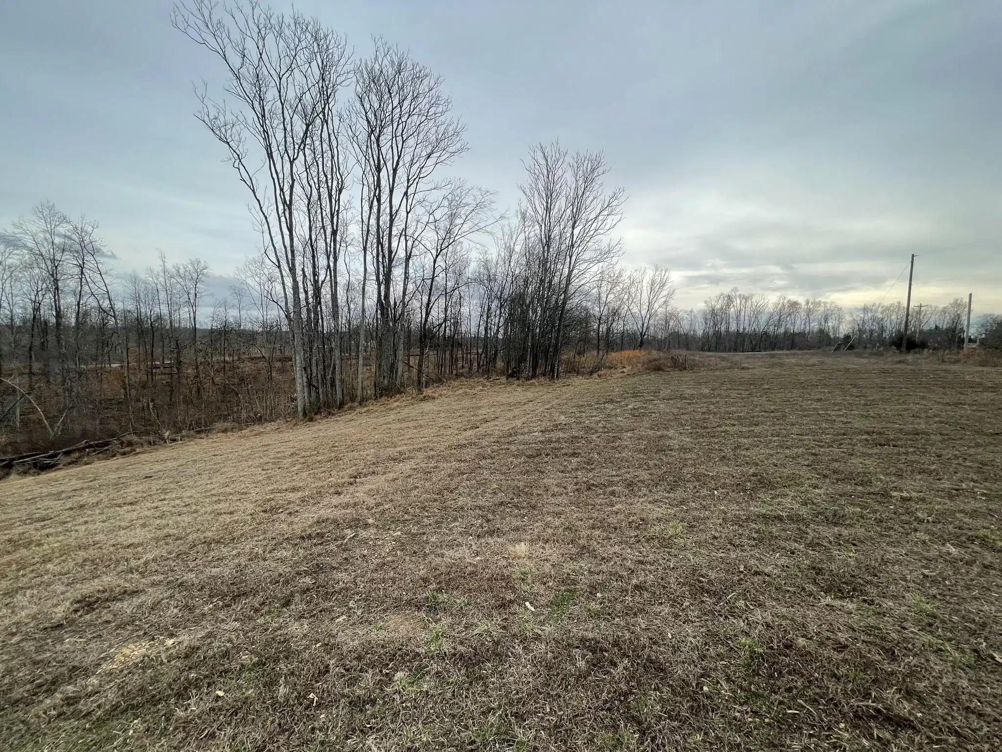Image 1: Look at this beauty flat with no trees like a park Image 1: Look at this beauty flat with no trees like a park