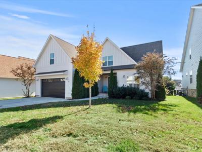 82 Hammock Dr