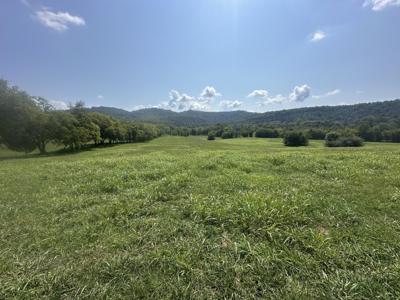 0 Cane Creek Cummingsville Rd