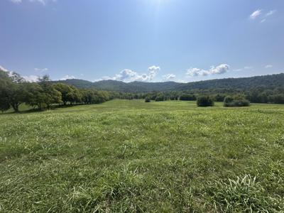 0 Cane Creek Cummingsville Rd