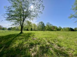 436 Pine Orchard Rd