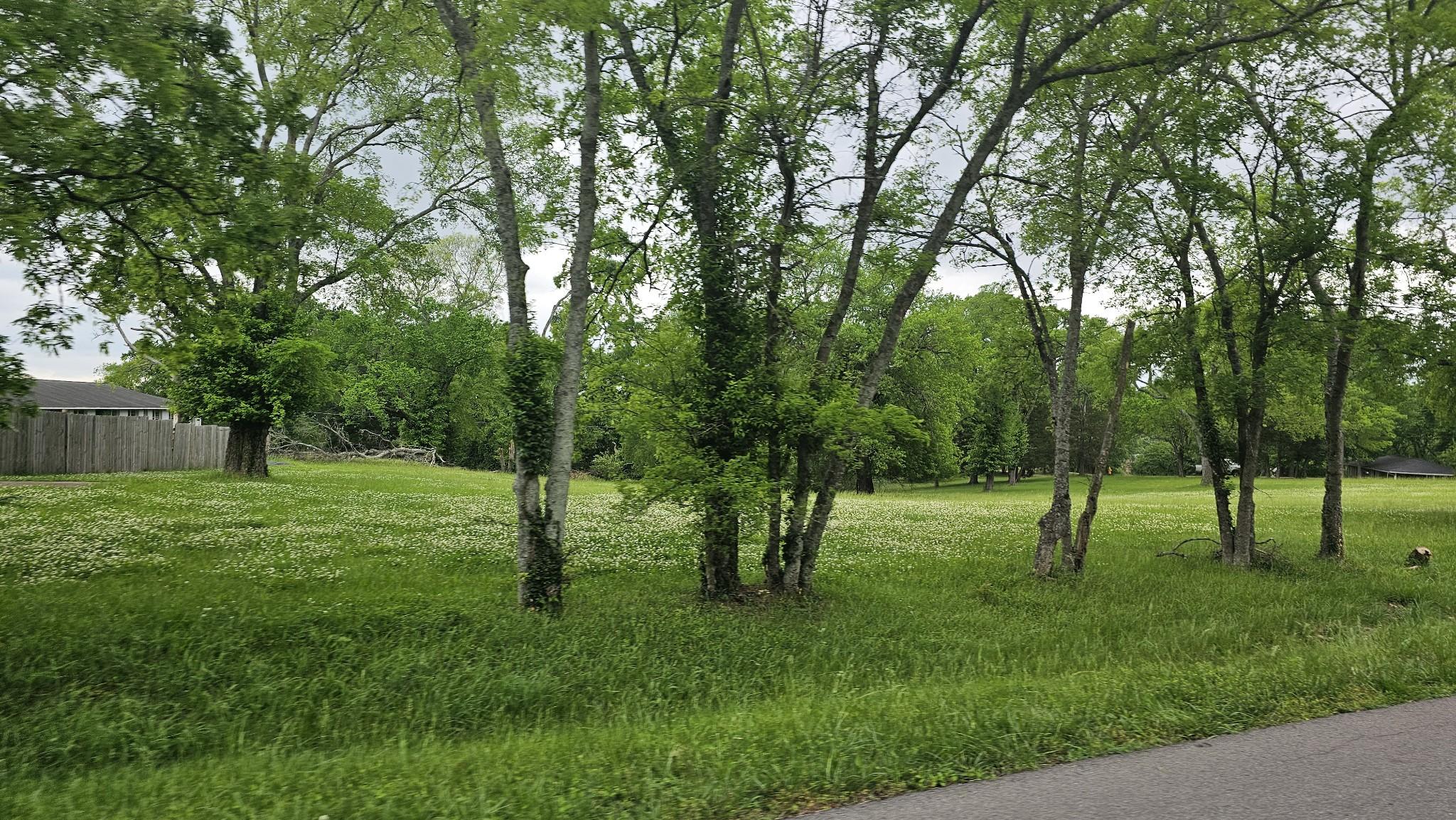 Image 3 Image 3