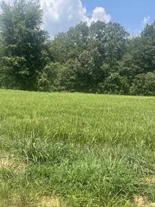 0 Summerlake Ct