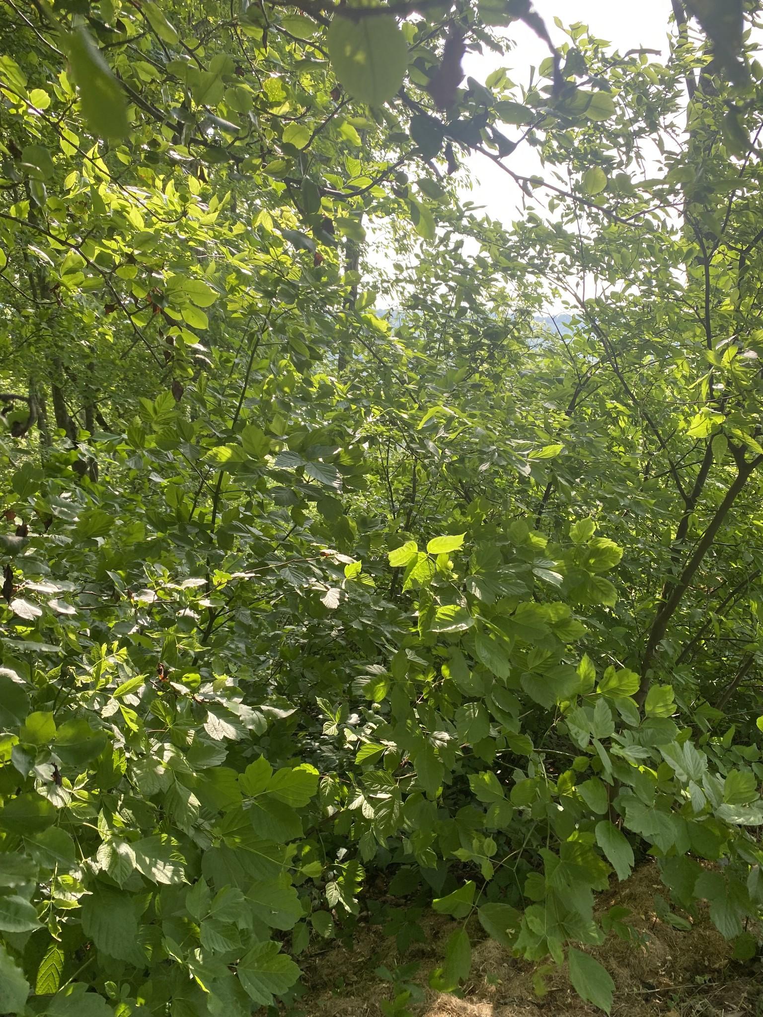 Image 4 Image 4