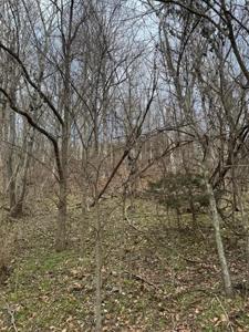 0 Blackberry Ridge Way