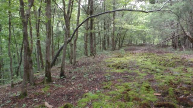 Image 1 Image 1