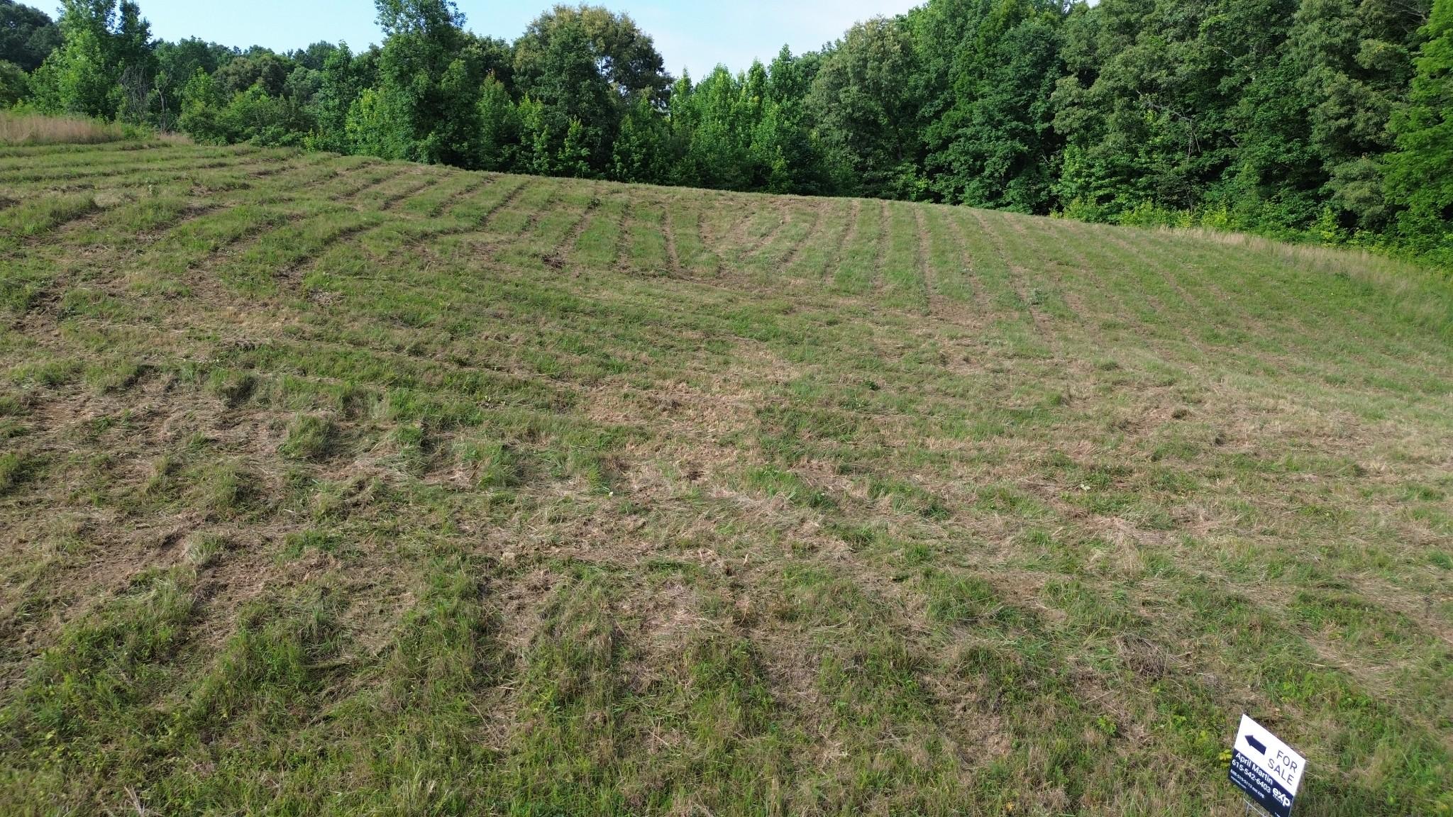 Image 3 Image 3