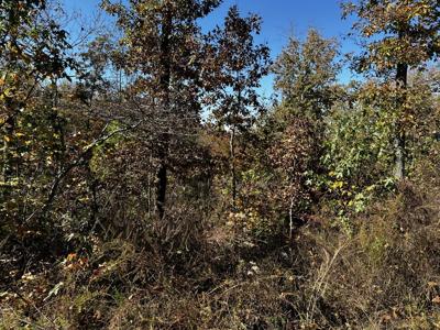 0 Ridge Top Rd