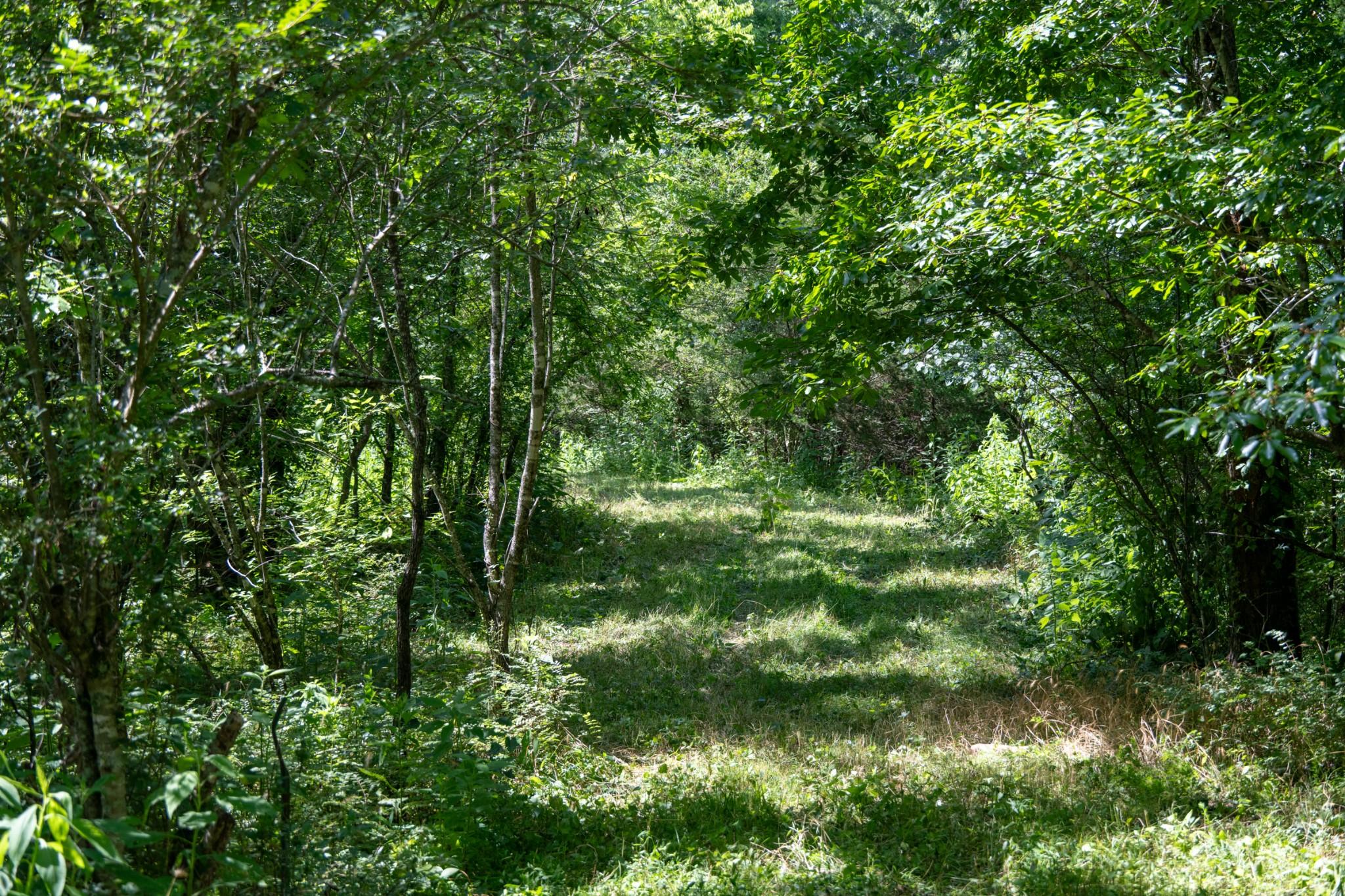 Image 4 Image 4