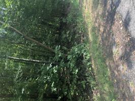 0 Bayview Dr