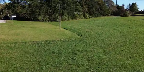 Image 2 Image 2