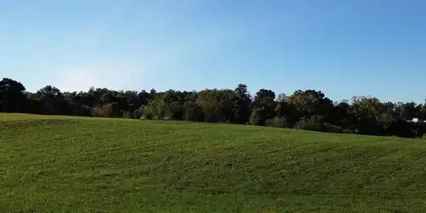 Image 4 Image 4