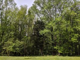 0 Damron Rd Lot 62