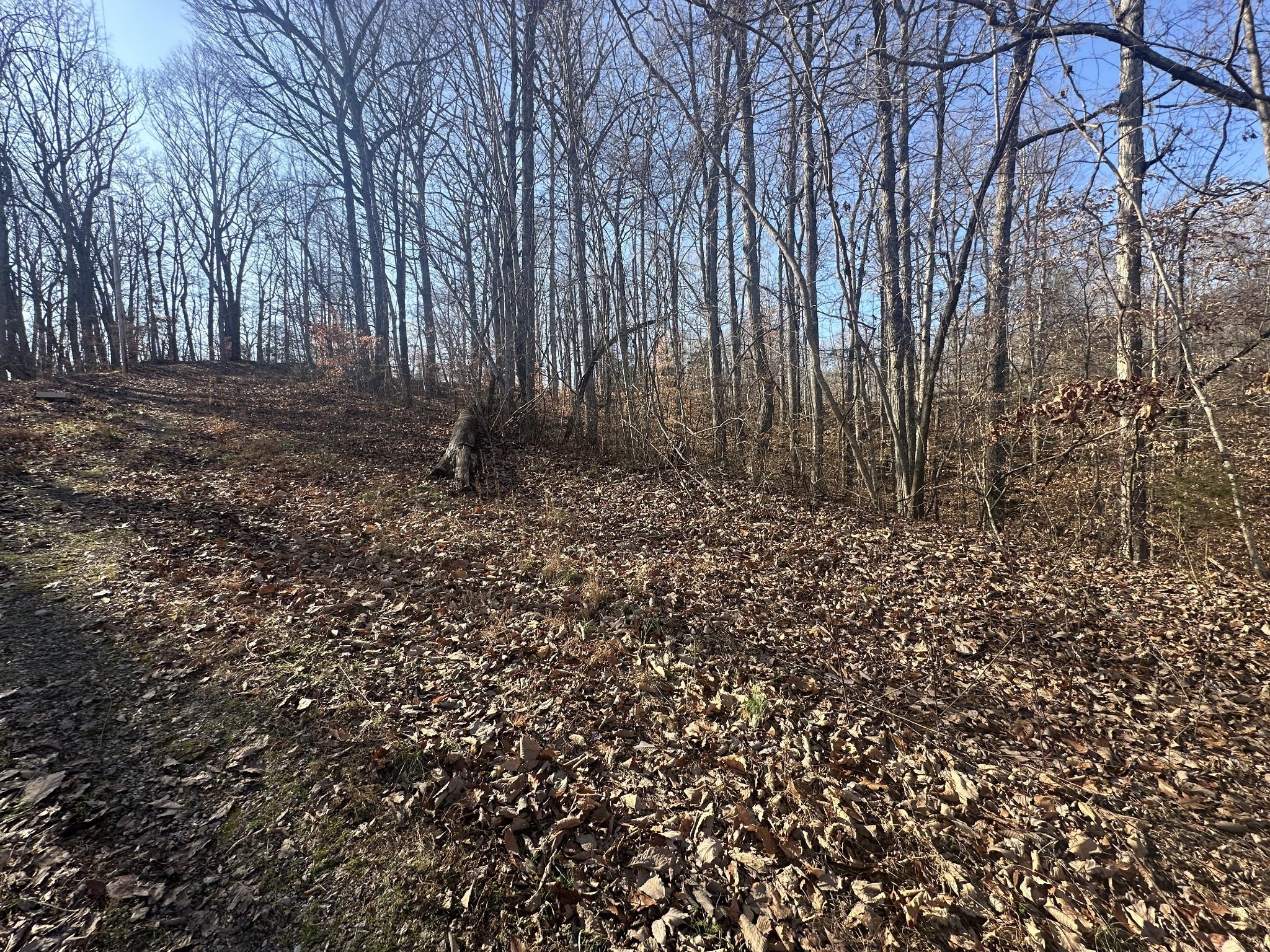 Image 1 Image 1