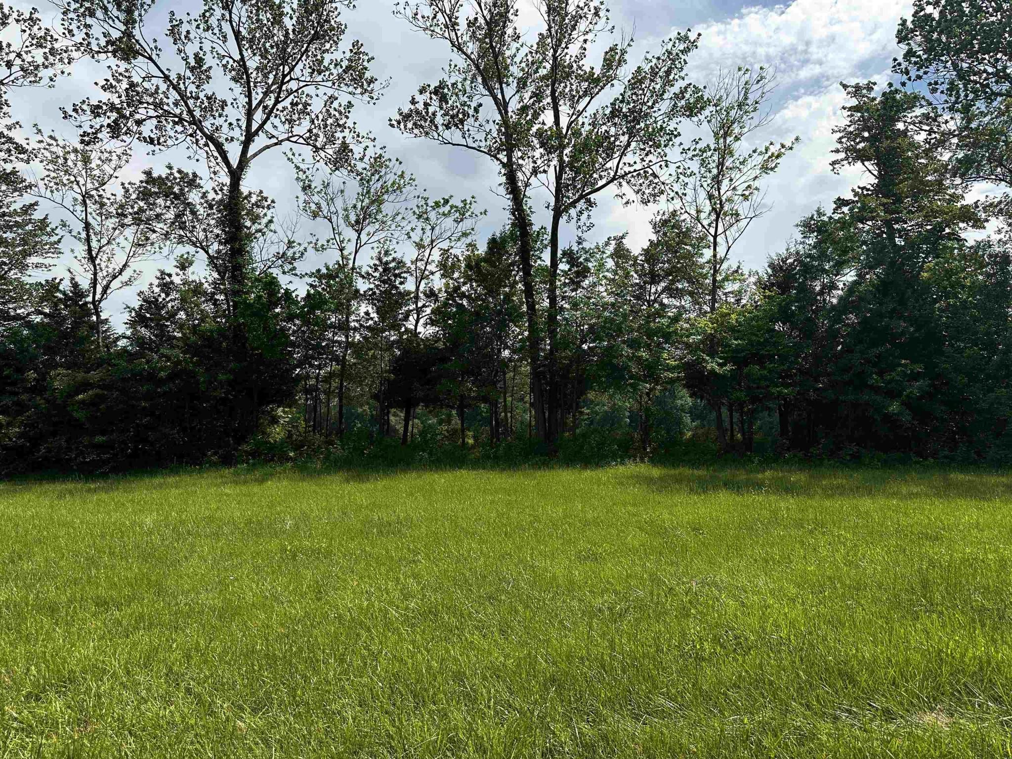 Image 4 Image 4