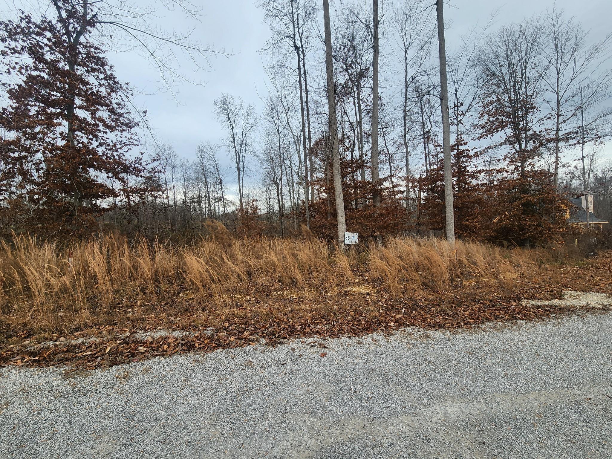 Image 2 Image 2