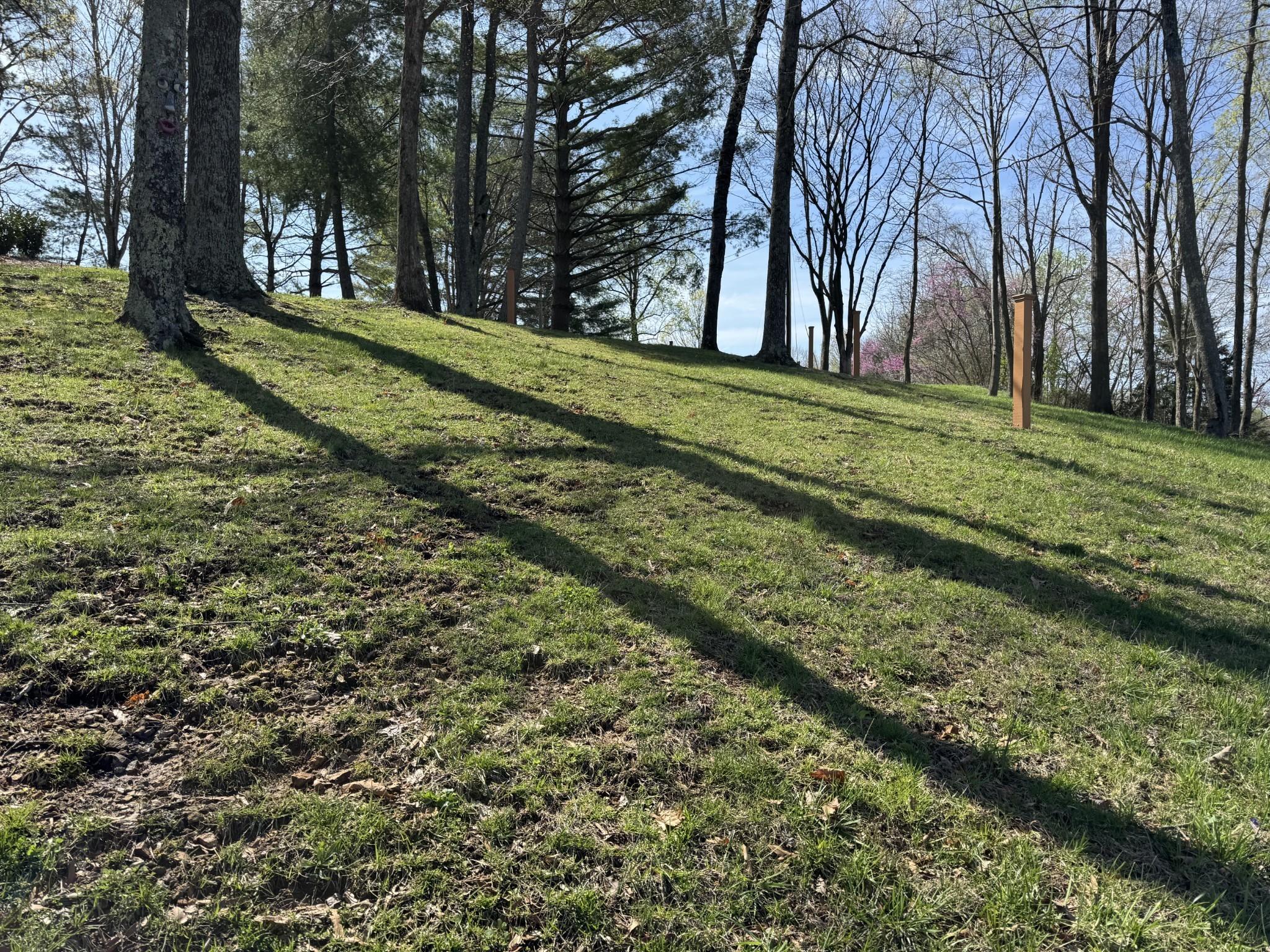 Image 4 Image 4