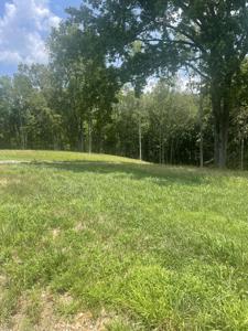 0 Summerlake Ct