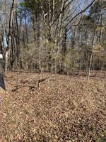39 Shady Cove Ln