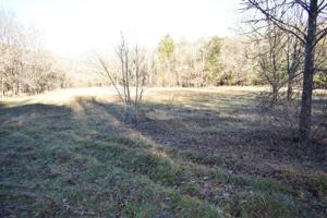 0 Grisham Hollow Ln