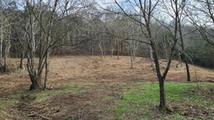 2 Buckeye Hollow Rd