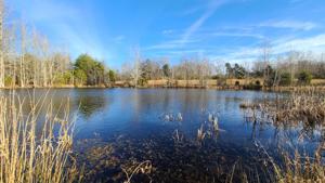 912 Allen Bend Rd