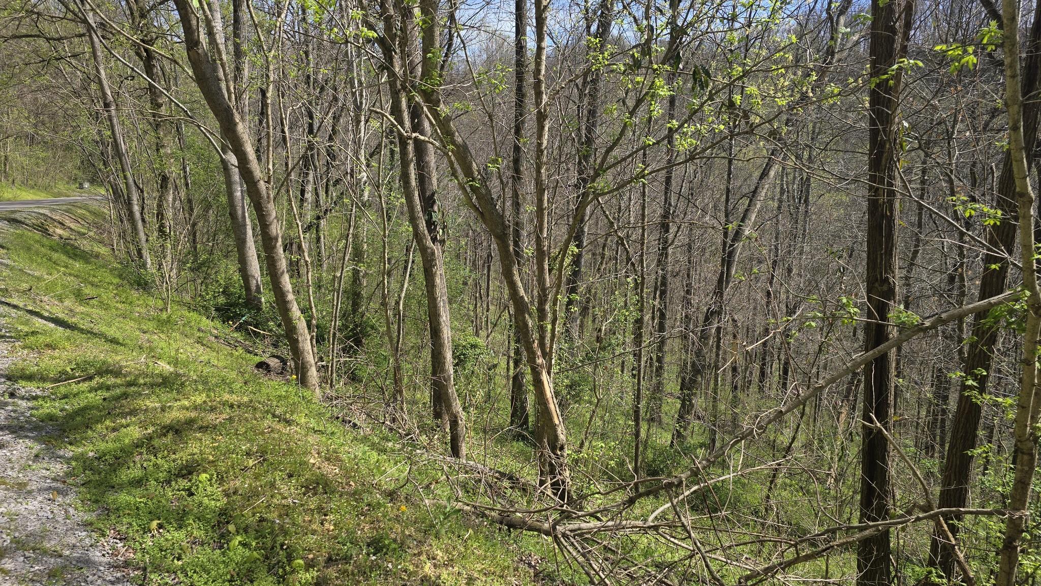 Image 1 Image 1