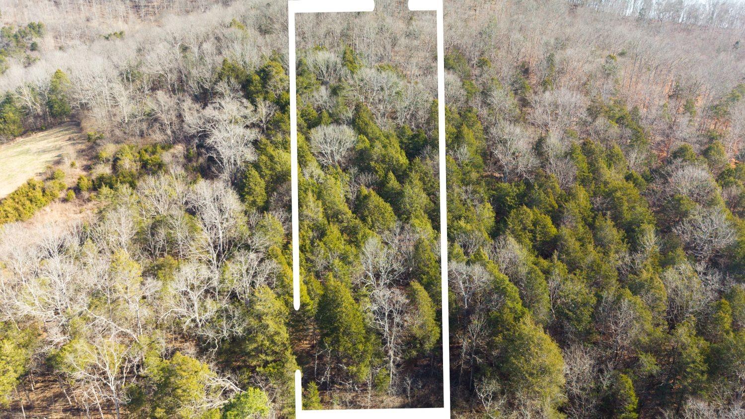 Image 2 Image 2