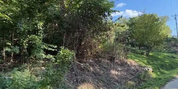 13 Mullins Cove Road