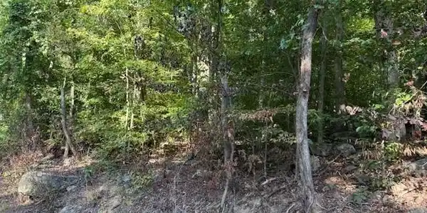 Image 3 Image 3