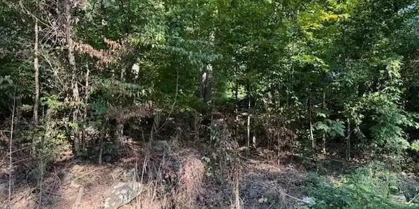 Image 4 Image 4