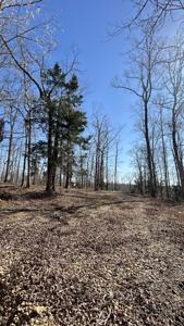 97 Cardinal Hollow Rd