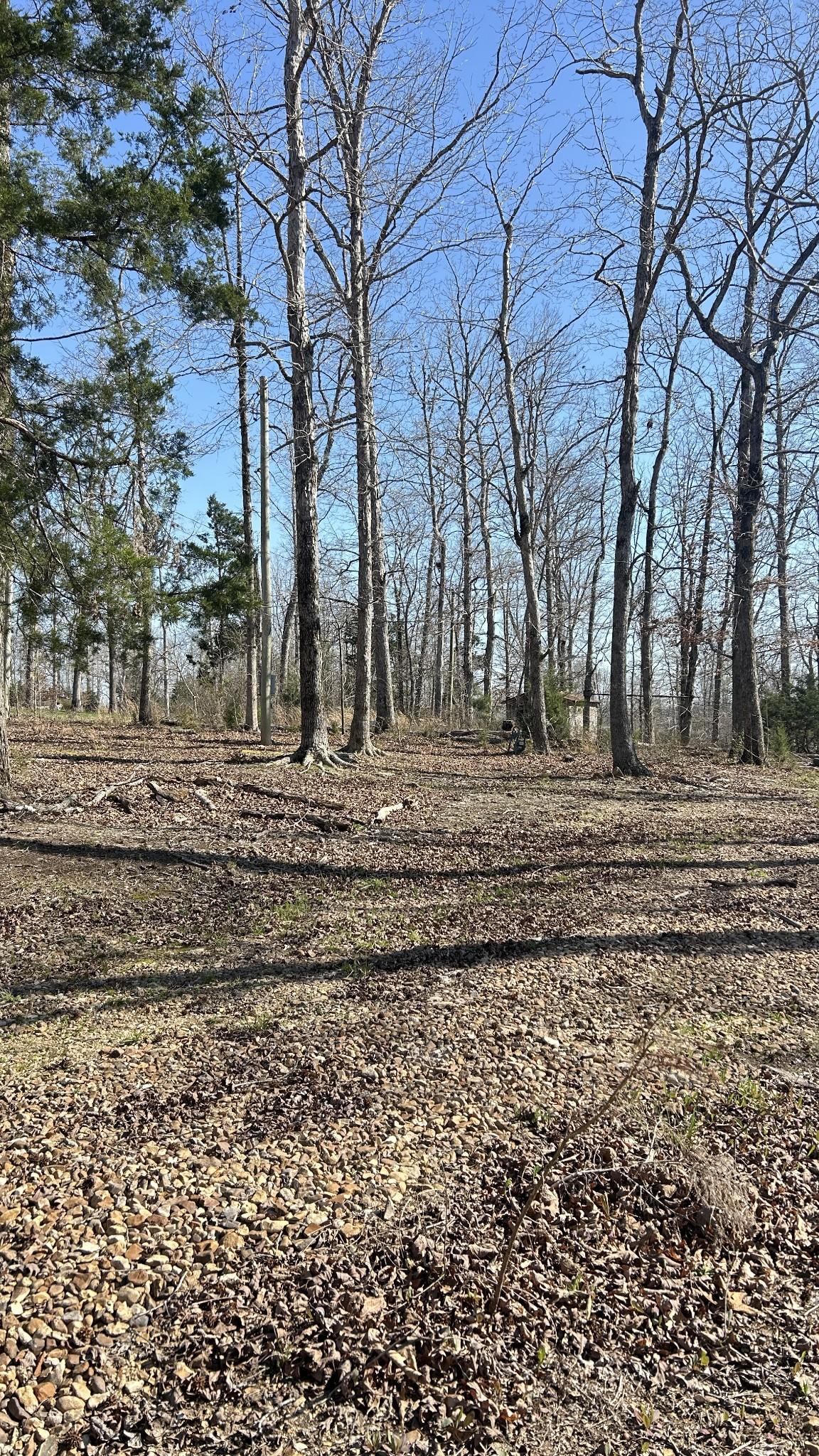 Image 4 Image 4